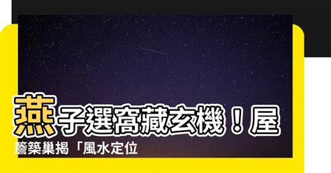 家裡燕子築巢|燕子築巢＝風水寶地 民俗專家：這「4個生肖」準備在。